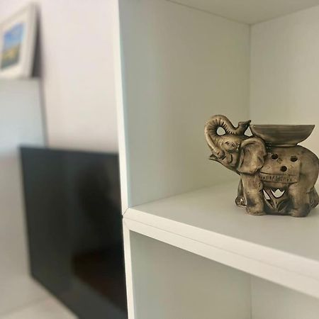 דירות קלוז'-נאפוקה Cipariu Corner מראה חיצוני תמונה